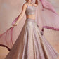 Dual coloured Lehenga Set in Plum Rose