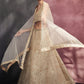 Mirror work Lehenga Set