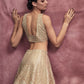 Mirror work Lehenga Set