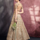 Embroidered Lehenga Set